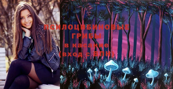 прущие крисы Куйбышев