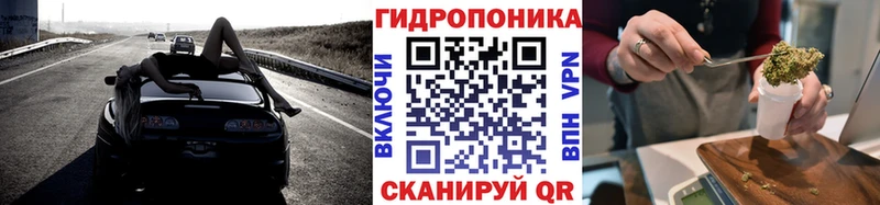блэк спрут tor  Сурск  Бошки Шишки планчик 
